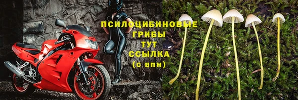 соль ск Аркадак