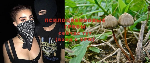 МДПВ Арсеньев