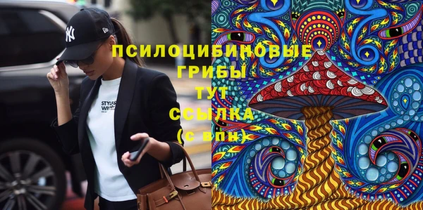 соль ск Аркадак